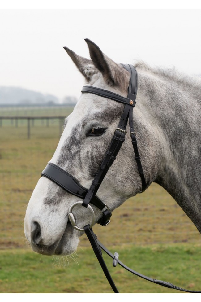FSS Stellar Curve U Dressage Bridle - Topaz Gold Crystal Piping, Patent Crank, Black Leather